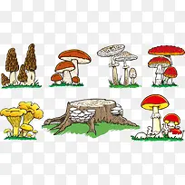 矢量野生蘑菇