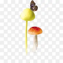 卡通彩色蘑菇蝴蝶