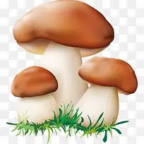 蘑菇高清蘑菇卡通蘑菇
