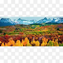 五彩缤纷的山坡