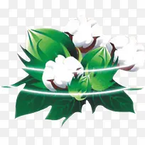 棉花