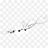 白色花朵花纹