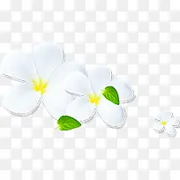 白色花朵卡通植物