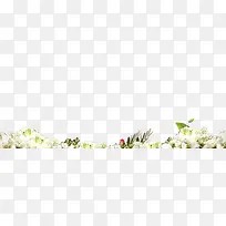 白色花朵背景素材
