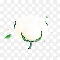 白色棉花蓬松卡通