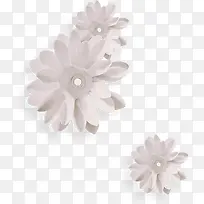 白色小花