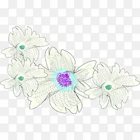白色线条花朵手绘
