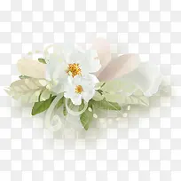 白色花朵花瓣浪漫装饰