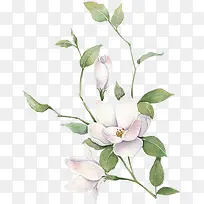 白色唯美装饰花朵