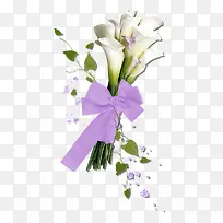 紫色蝴蝶结白色花朵