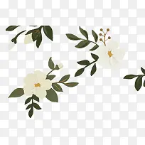 彩绘白色花朵花枝装饰图片