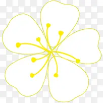 白色黄心花朵