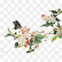 蝴蝶白色花朵彩绘植物