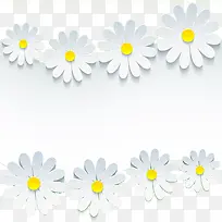 白色花朵边框设计