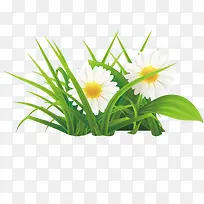 手绘白色的雏菊矢量素材