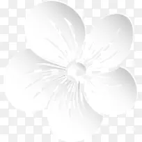 白色创意手绘花朵唯美