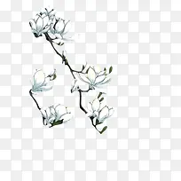 白色花朵彩绘图片