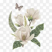 白色花朵蝴蝶手绘