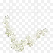 白色直角花朵