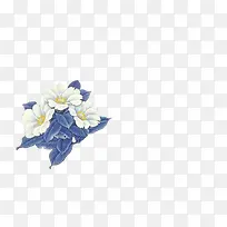 白色花朵蓝色树叶