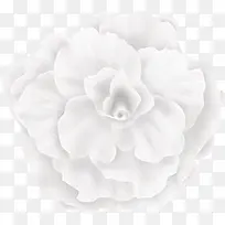 白色 粉色 大花朵png素材