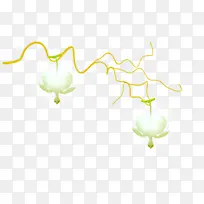 免抠 黄色树枝 白色花朵