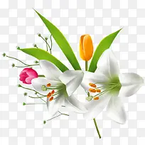 白色花朵美景树叶