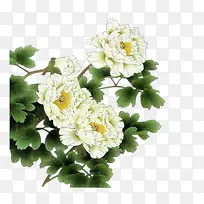 手绘白色复古花朵绿叶