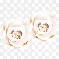 白色纯洁婚礼花朵
