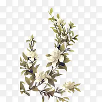 白色花朵绿色树枝植物素材