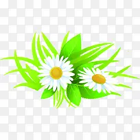 手绘白色促销花朵