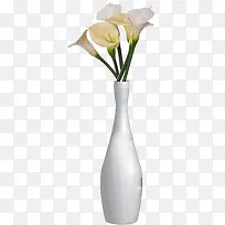 白色高清花朵装饰