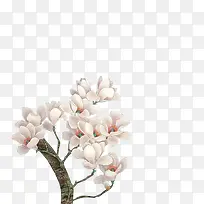 粉白色文艺花朵树枝