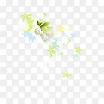 白色花朵绿色花朵