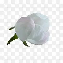 白色唯美花朵装饰