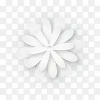 白色细长花瓣花朵手绘