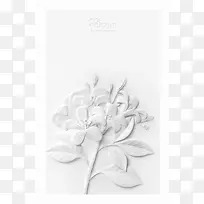 白色叶子花朵图片