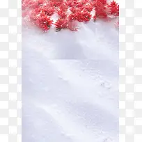 红色花朵白色背景素材