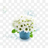 免抠白色花朵蓝色花盆