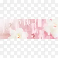 粉色梦幻白色花朵