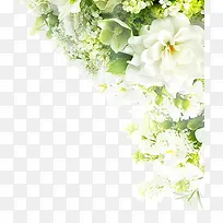 白色点缀小花绿叶