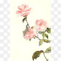 手绘玫瑰花粉色花朵