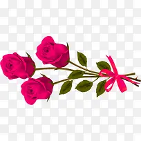 粉色玫瑰花植物花朵