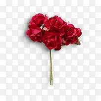一束红色玫瑰
