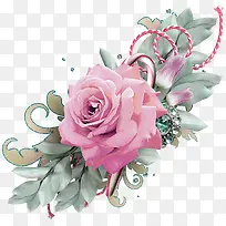 玫瑰花鲜花
