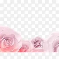 玫瑰花