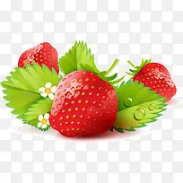 新鲜的草莓矢量免抠素材
