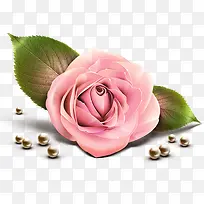 手绘粉色玫瑰珍珠