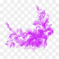 紫色炫彩植物