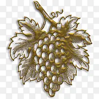 矢量手绘葡萄